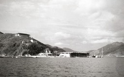 Ammarine from water