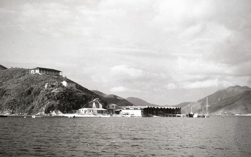 Ammarine from water