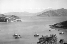 Ammarine Junk Bay