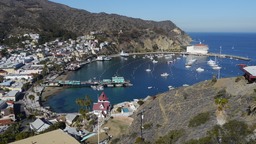 Avalon harbor