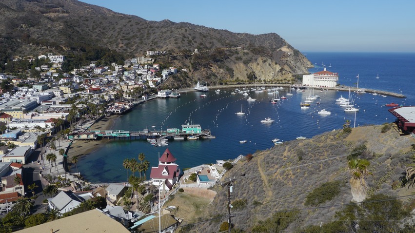 Avalon harbor
