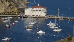Avalon harbor