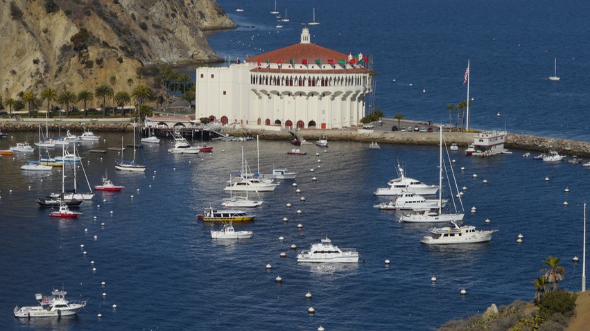 Avalon harbor