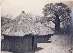 Idol compound 1