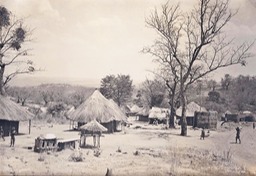 Idol compound 2