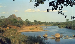 Mazoe river crop