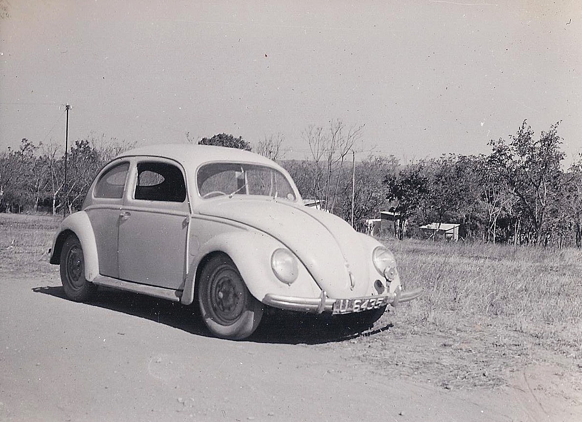 My Beetle