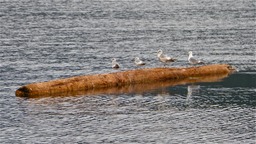 P1000399
