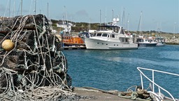 P1000647