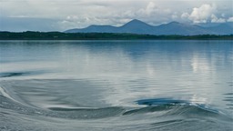 P1000927