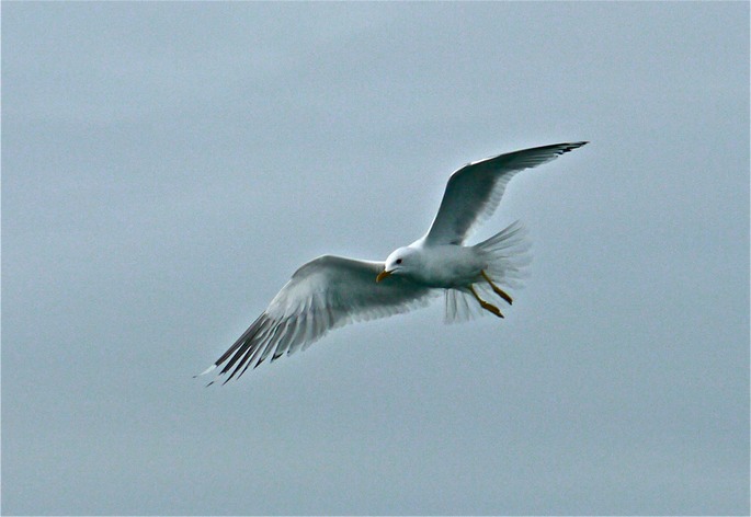 P1020072
