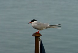 P1030458
