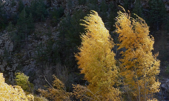 P1060864
