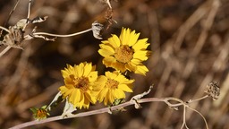 P1070018
