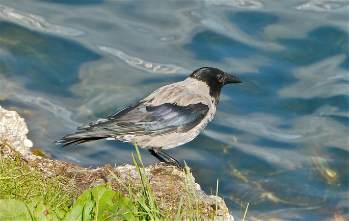 P1080184