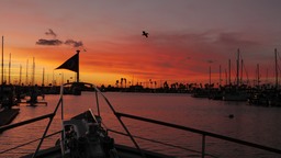 Sunset Ventura