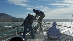 Up anchor in 60 kts